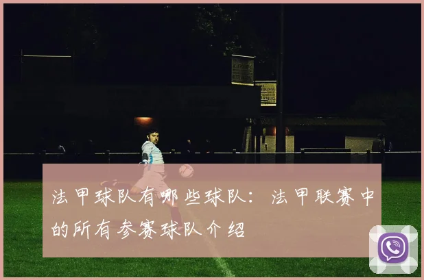 法甲球队有哪些球队：法甲联赛中的所有参赛球队介绍