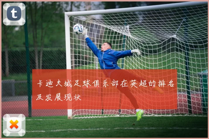 卡迪夫城足球俱乐部在英超的排名及发展现状