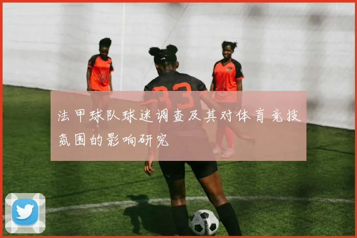 法甲球队球迷调查及其对体育竞技氛围的影响研究
