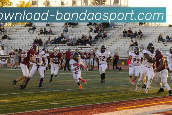 半岛体育平台生态图